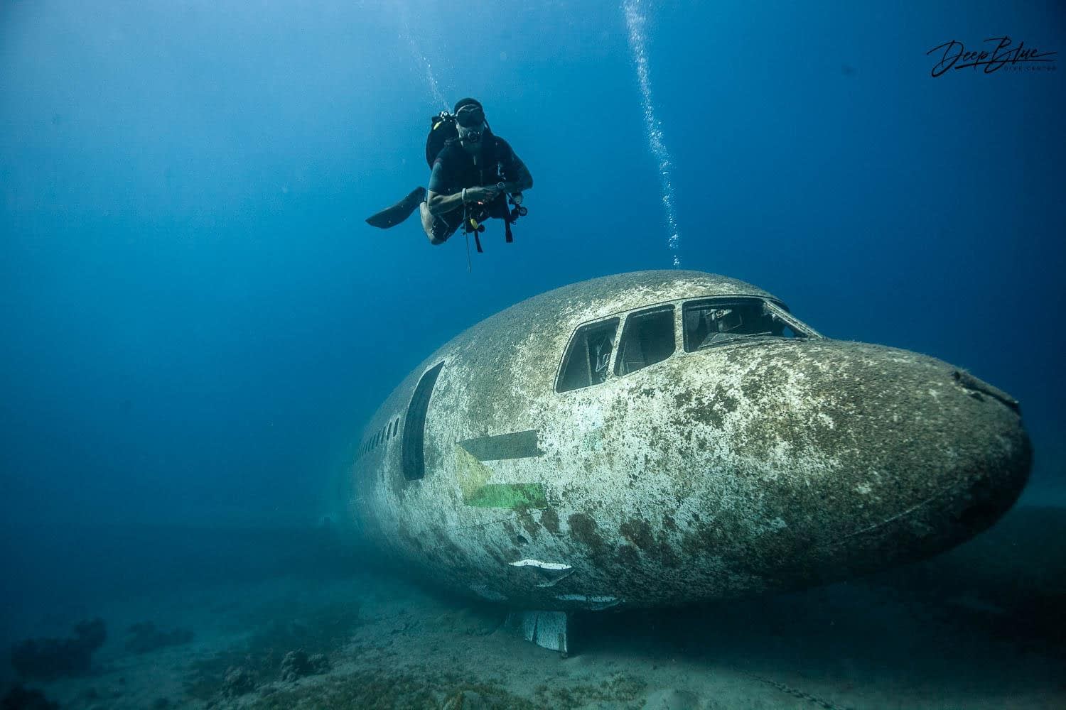 boat dives