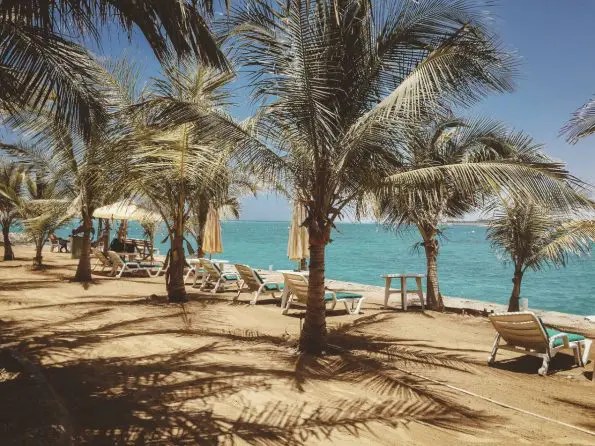09 days and 08 nights Wonders of Saudi Arabia