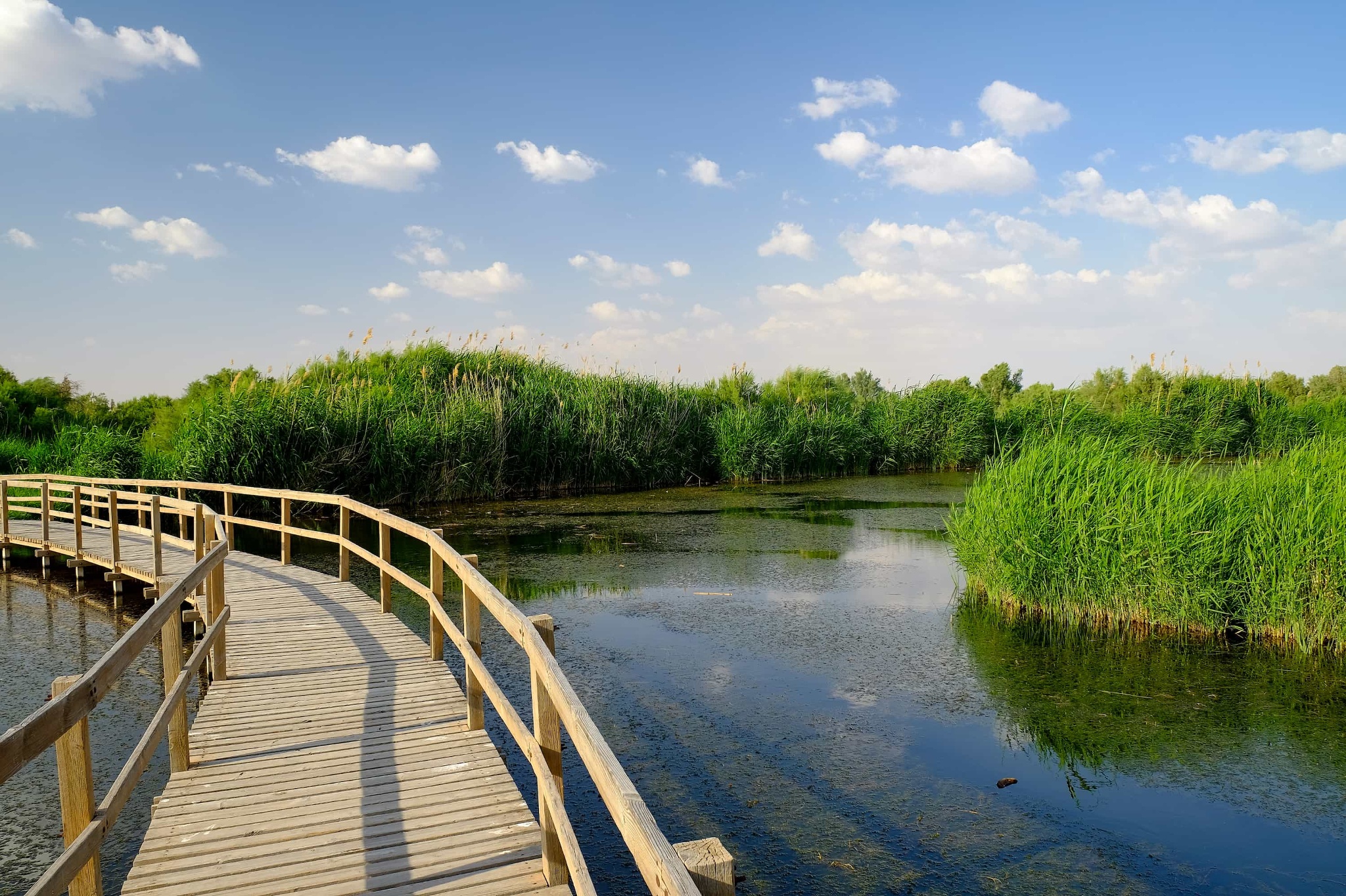 Amman–Azraq Wetland Reserve (Marash Trail)