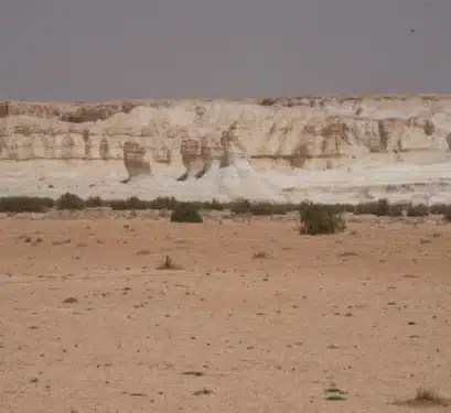 Dahek Nature Reserve