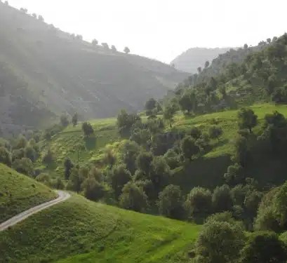 Yarmouk Forest Reserve