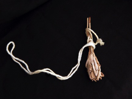 Smudging, purification, cleansing, healing-USA/Mexico-Native American-Sage with white string-3 3/4" long
