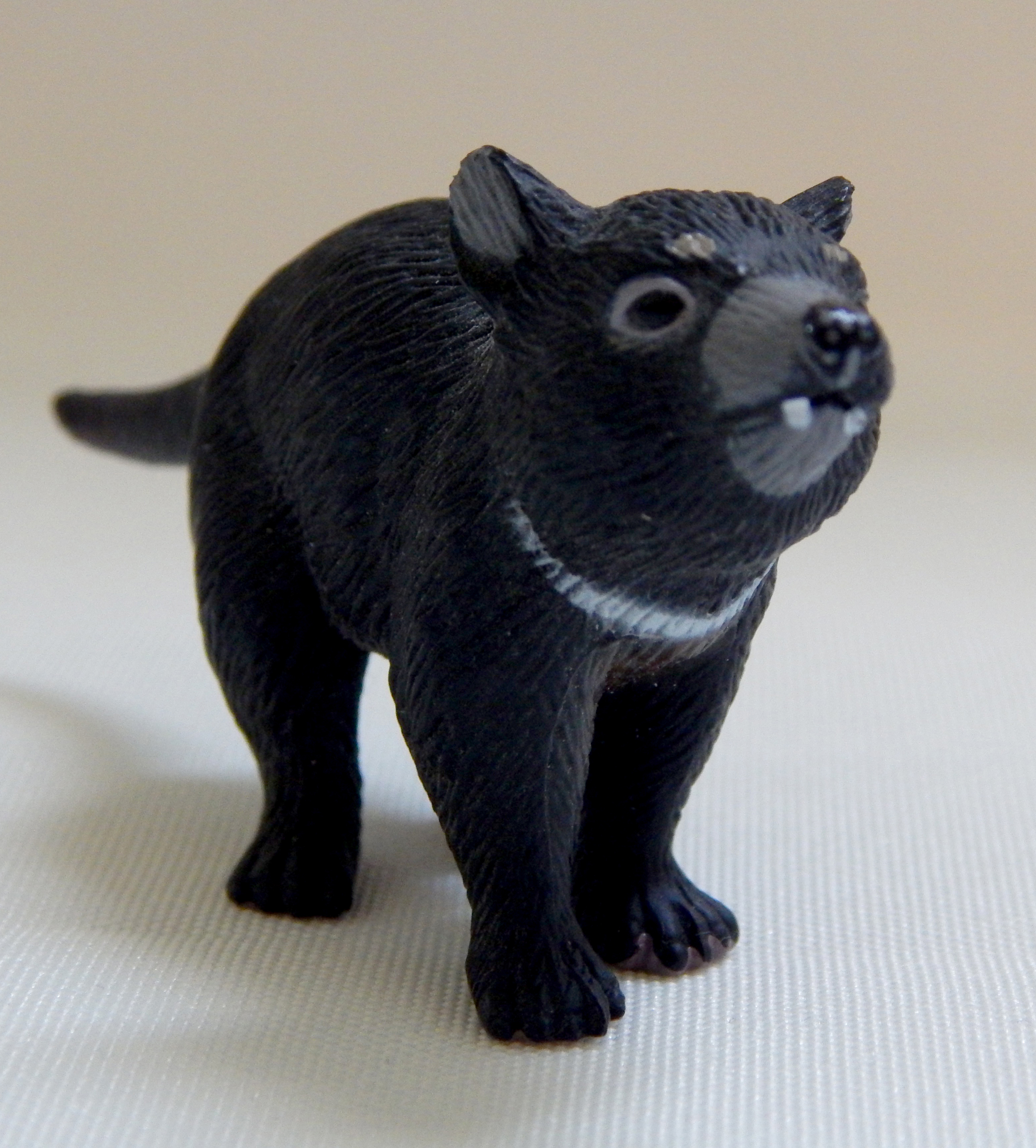 Tasmanian Devil Replica
