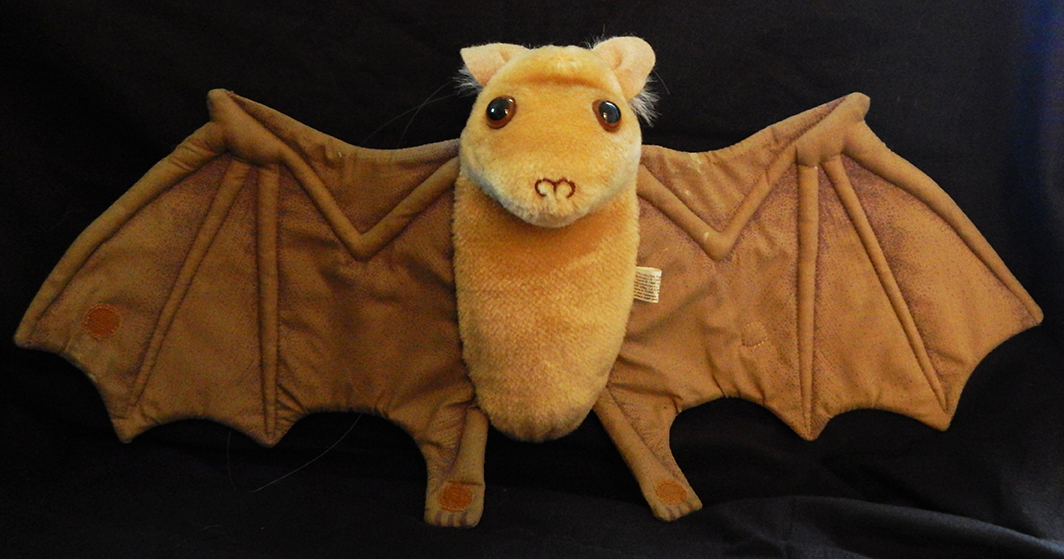 Stella Luna bat (from a children's book of the same name)