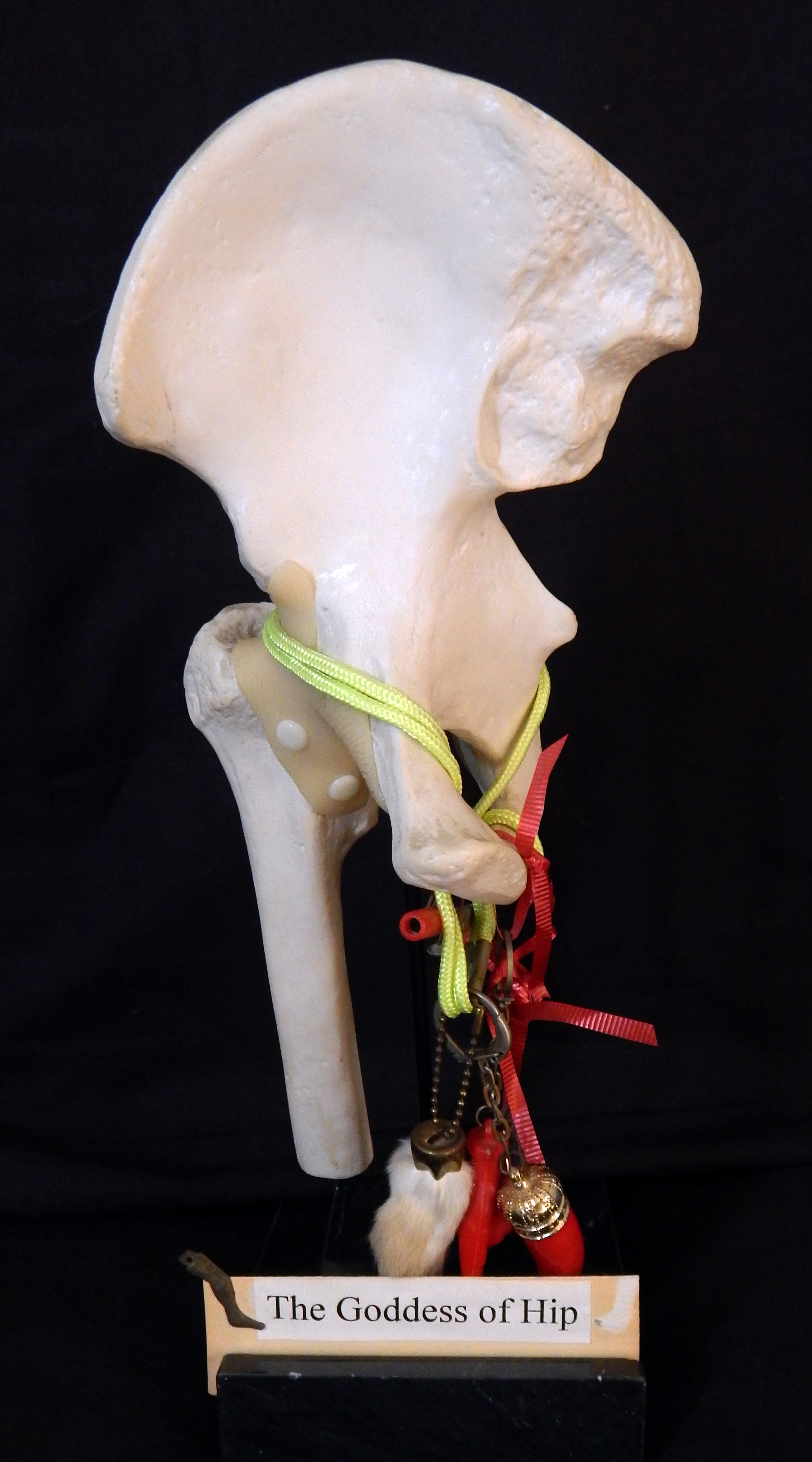 Replica of left hip and femur with hanging good luck amulets