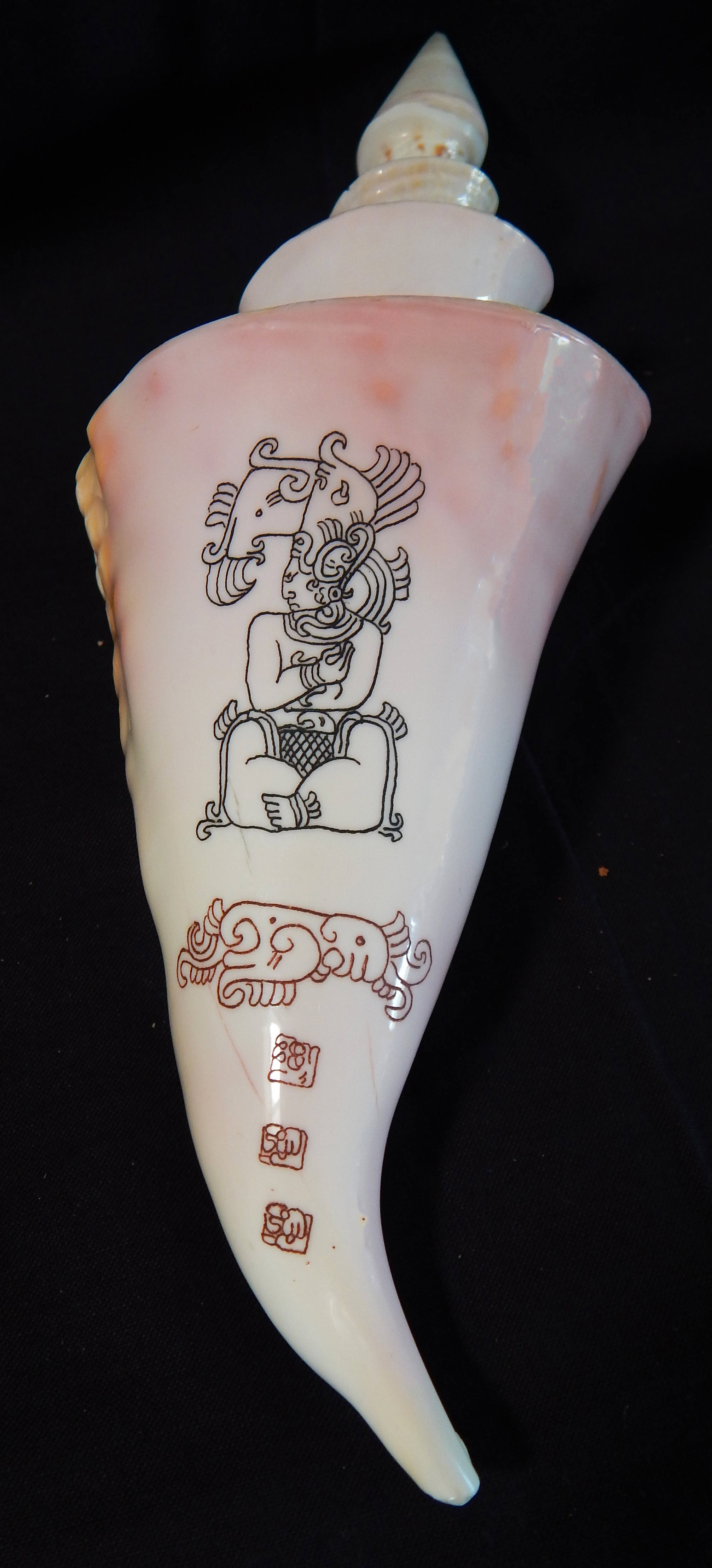 A gift from Dr. Lorenzo Gonzalez.