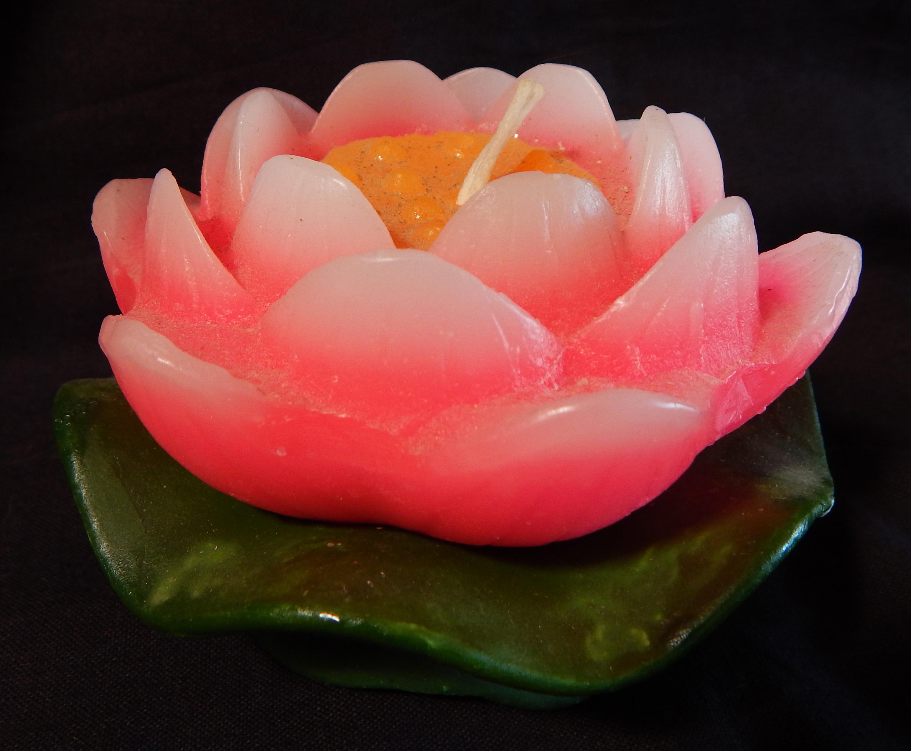 Has numerous meanings, e.g., awakening of spiritual consciousness; beauty arises from the dirt thus rebirth.