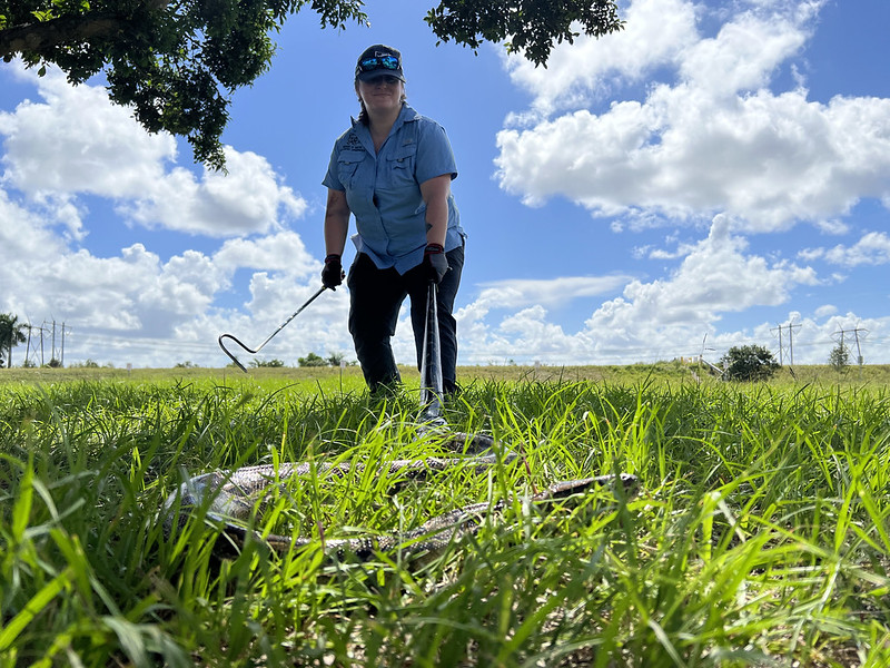 Contractor Removal Program Fpcp - Gradient Art Collection - Mobile Quality