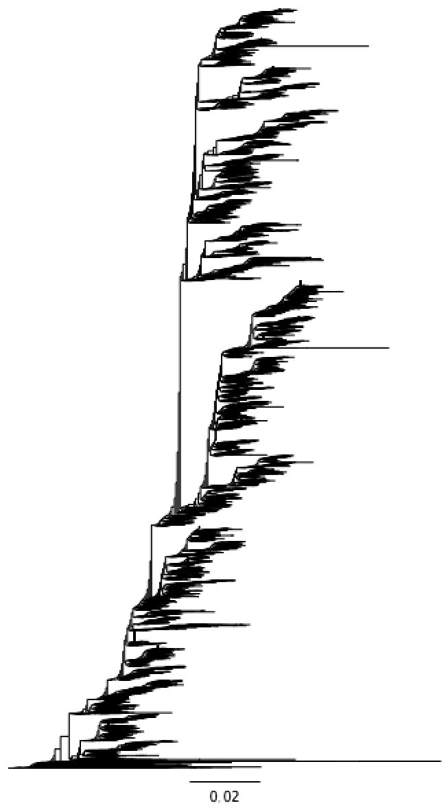 Github Flu Crew Octoflu Script That Labels Phylogenetic Clades Based - Ultra HD Gradient Picture - Retina