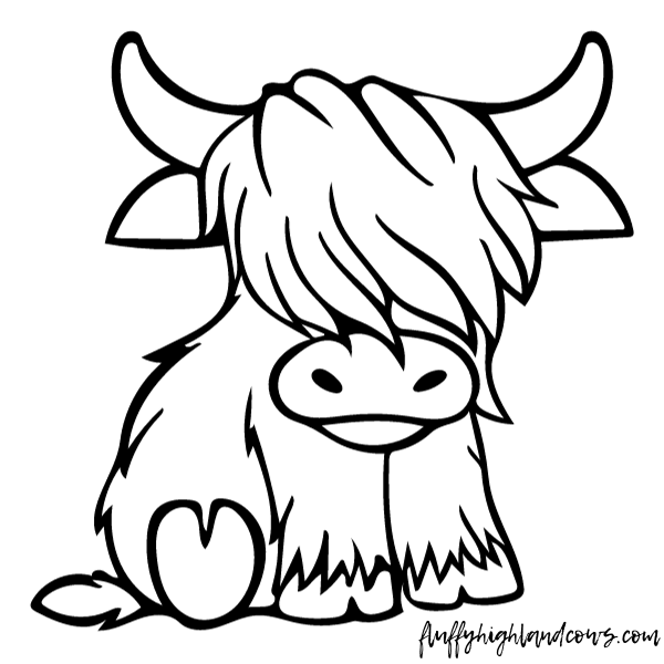 Galloway cattle: a hardy and historic breed