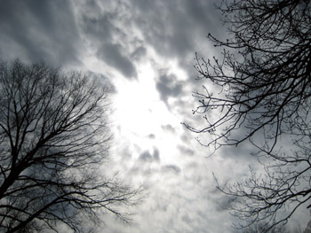 intense clouds, trees, peeking sun… and i didn’t even use photoshop