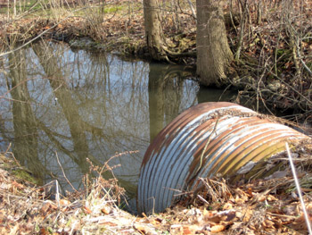 a pretty drain pipe?