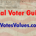 Local Florida Voter Guide