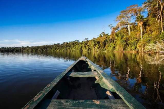 Ecoturismo na Amazônia: pacotes de viagem para ver as riquezas da floresta  | Metrópoles
