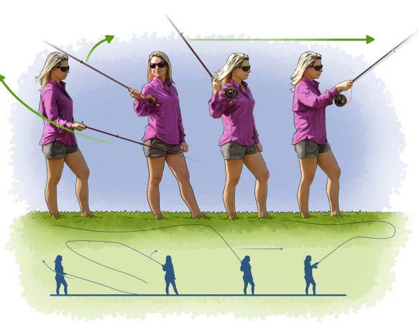 fly fishing illustration demonstrating casting controlled open loops