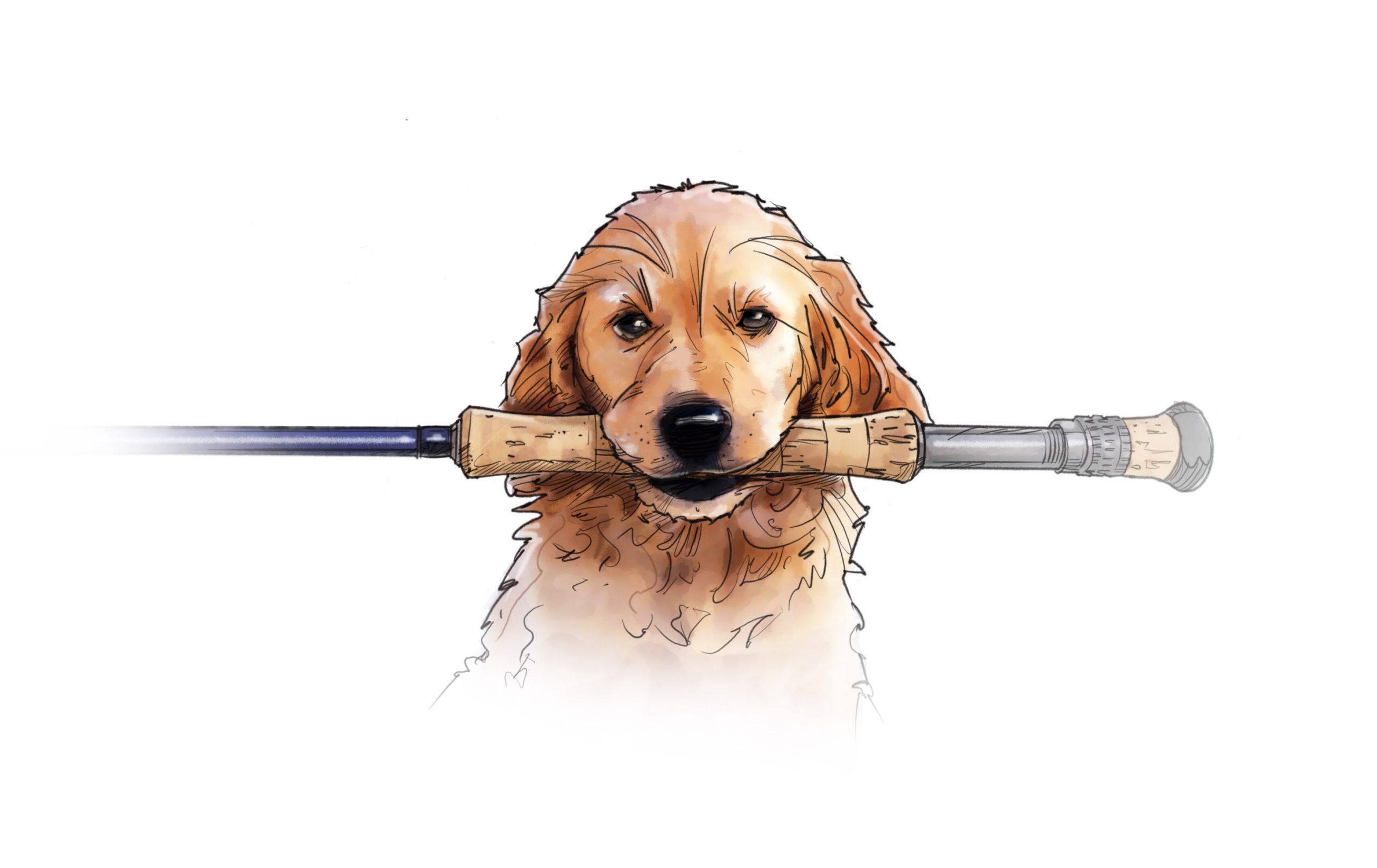illustration of a golden retriever with a fly rod in its mouth