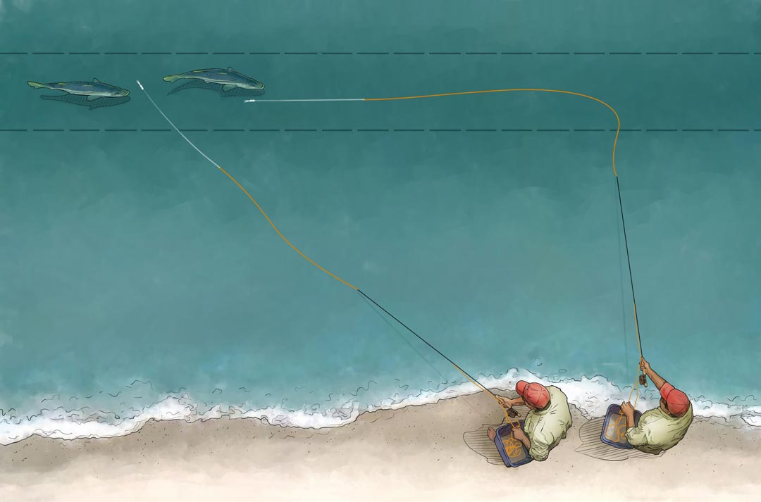 Illustration of two fisherman fishing for snook
