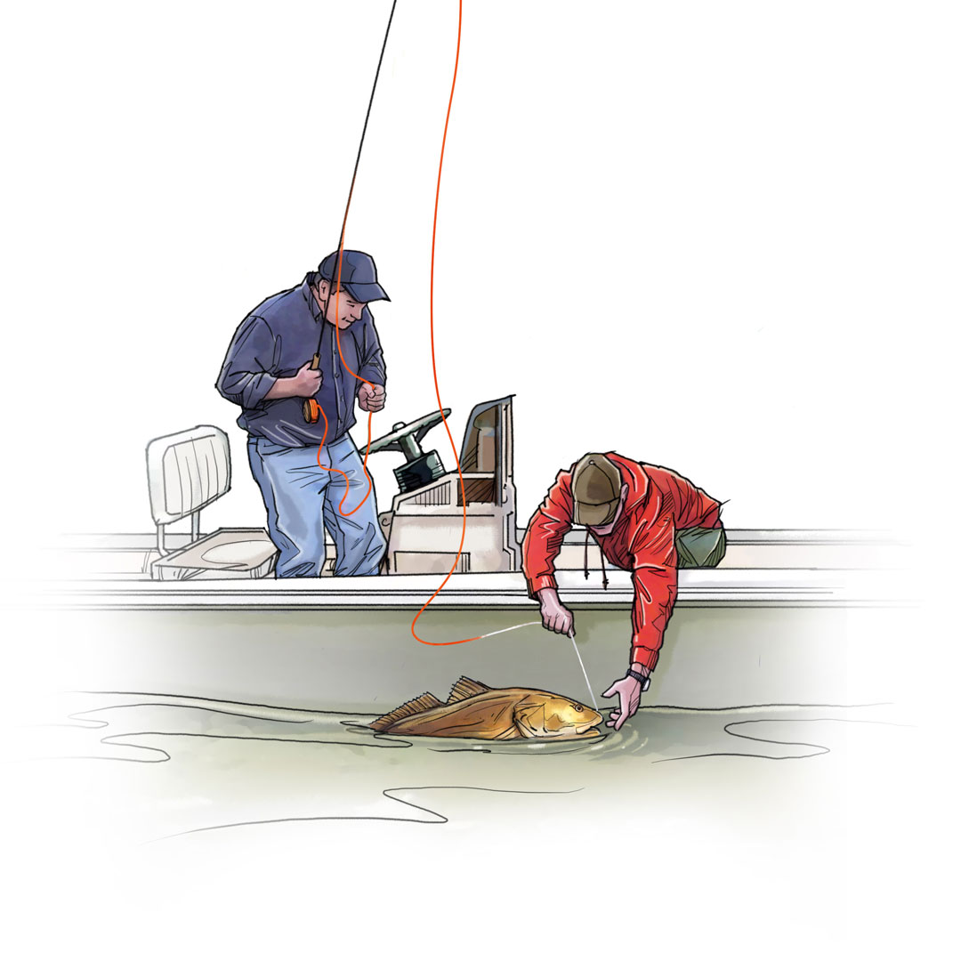 Fly fishing illustration showing a fish bing pulled into the boat