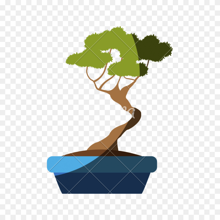 Discover and download free bonsai tree png images on pngitem. Bonsai Tree Bonsai Tree Png Stunning Free Transparent Png Clipart Images Free Download