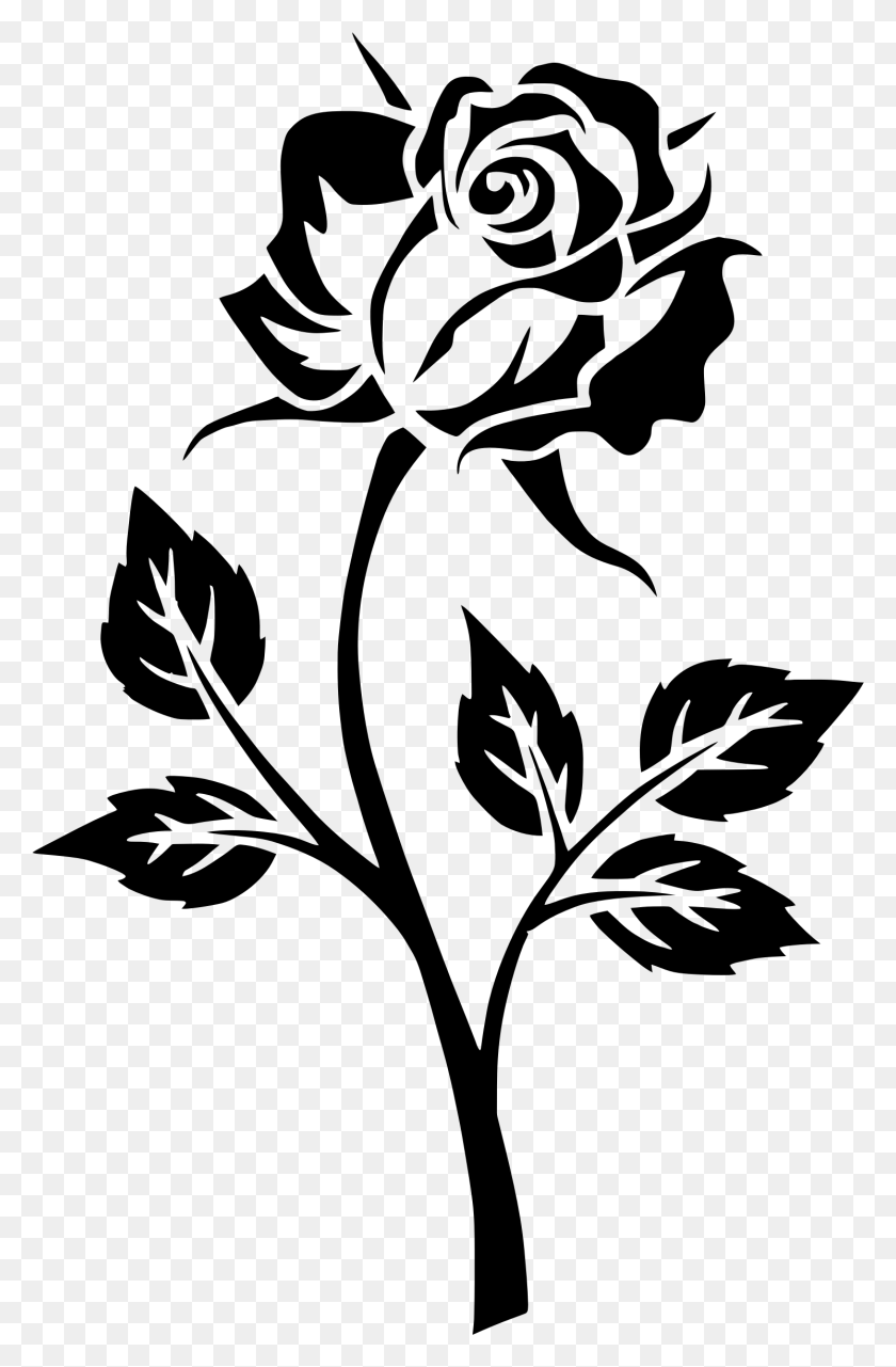 Download flower silhouette pngs instantly. Image Rose Silhouette Png Stunning Free Transparent Png Clipart Images Free Download