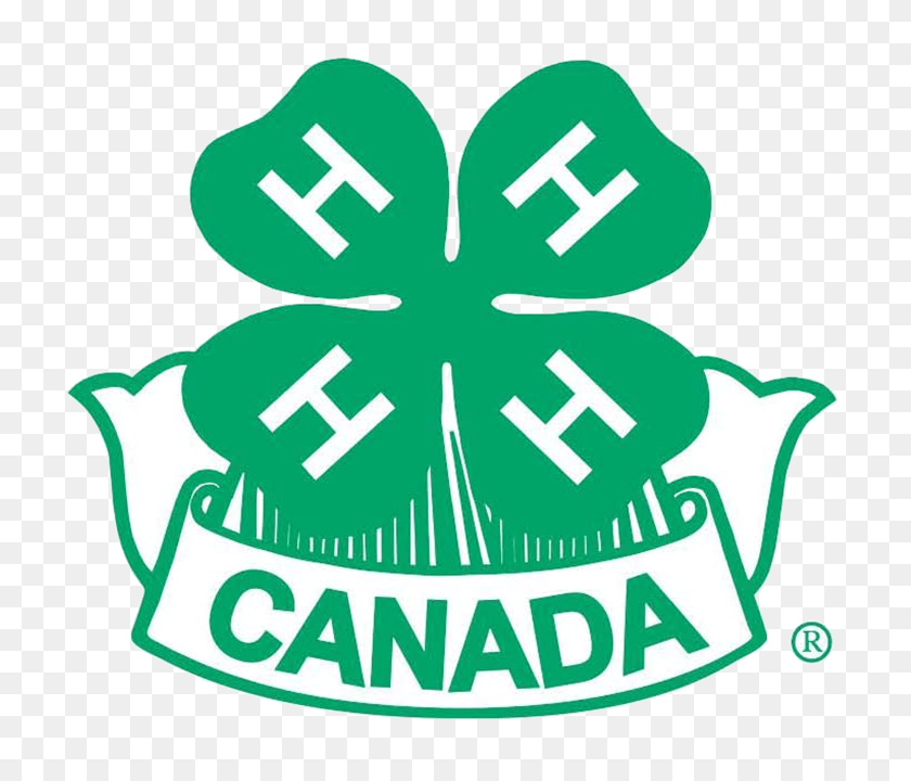 M&m logo symbol, personalized gifts. Logo Clover 4 H Clover Clip Art Stunning Free Transparent Png Clipart Images Free Download