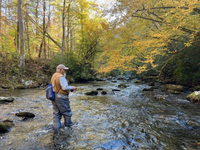 Fall Fly Fishing Trips, Fly Fishing the Smokies