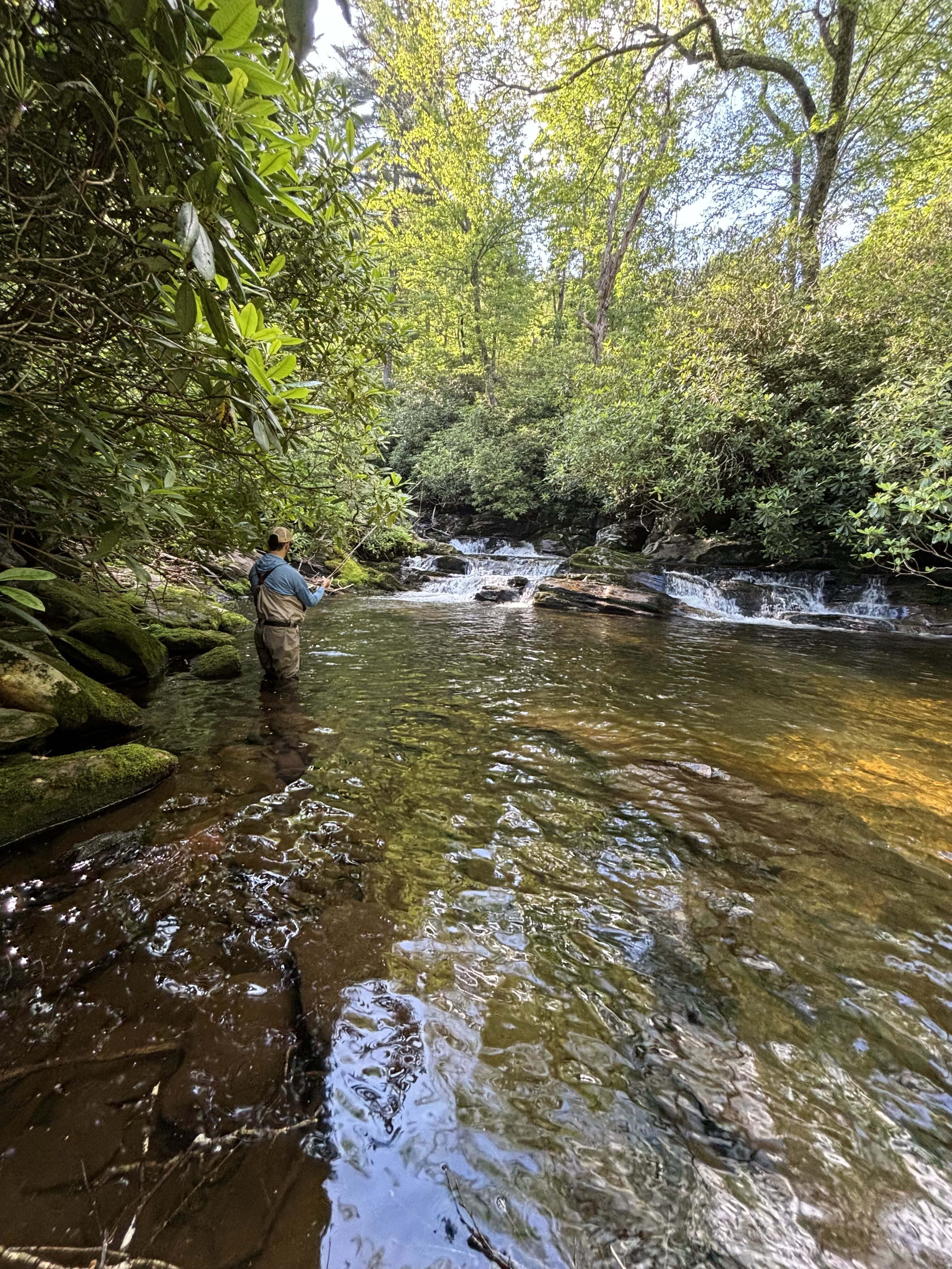 Great Smoky Mountains trout fishing