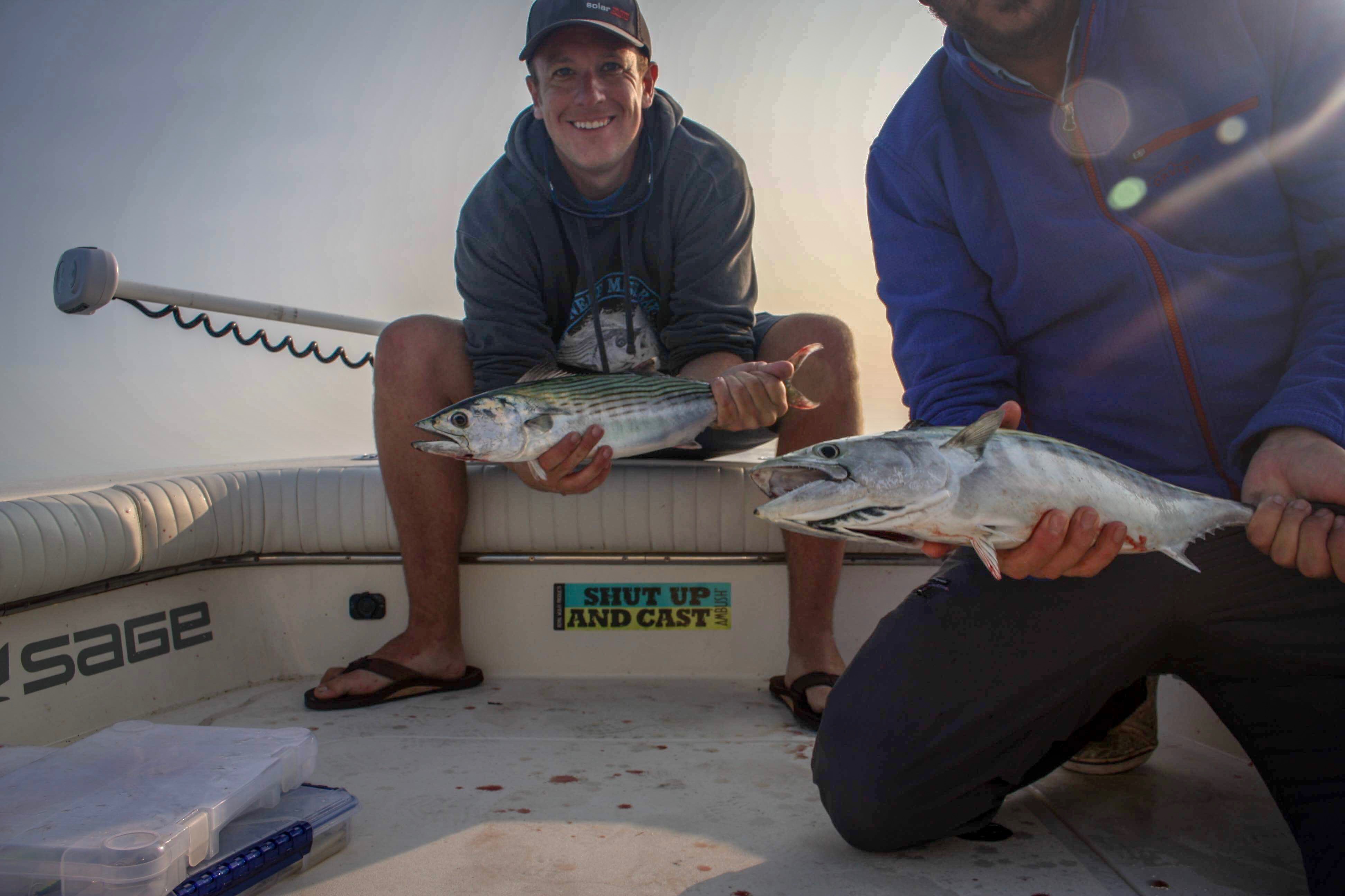 Doubled up on Martha’s Vineyard Bonito Fly Fishing Boston Fly