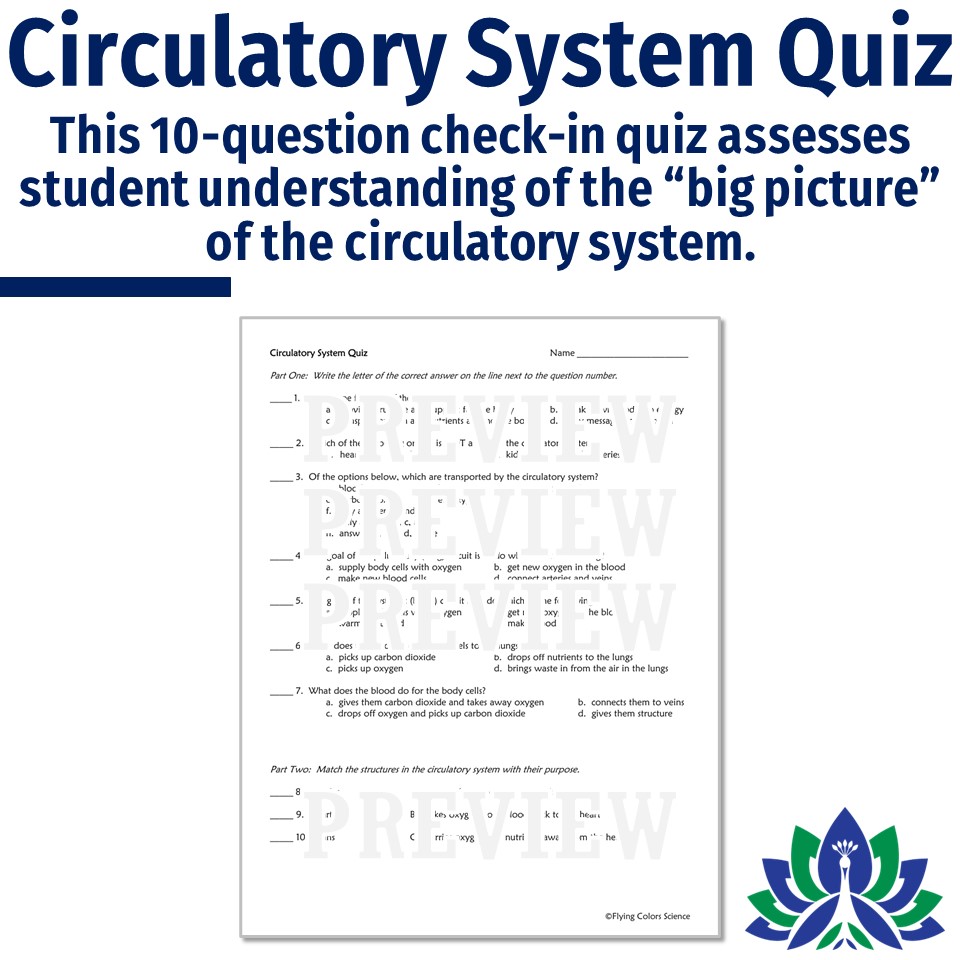 Circulatory system notes and quiz