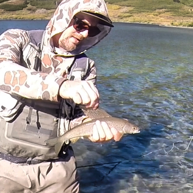Arctic Greyling, Alaska