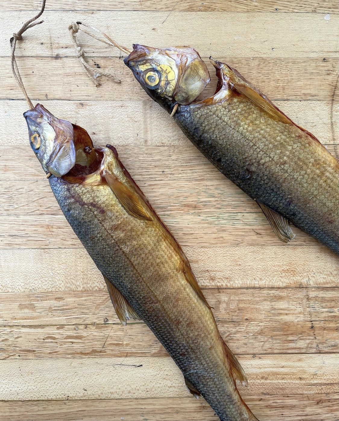 Video of the Week Brad Leone Goes Fly Fishing in Montana Part 1