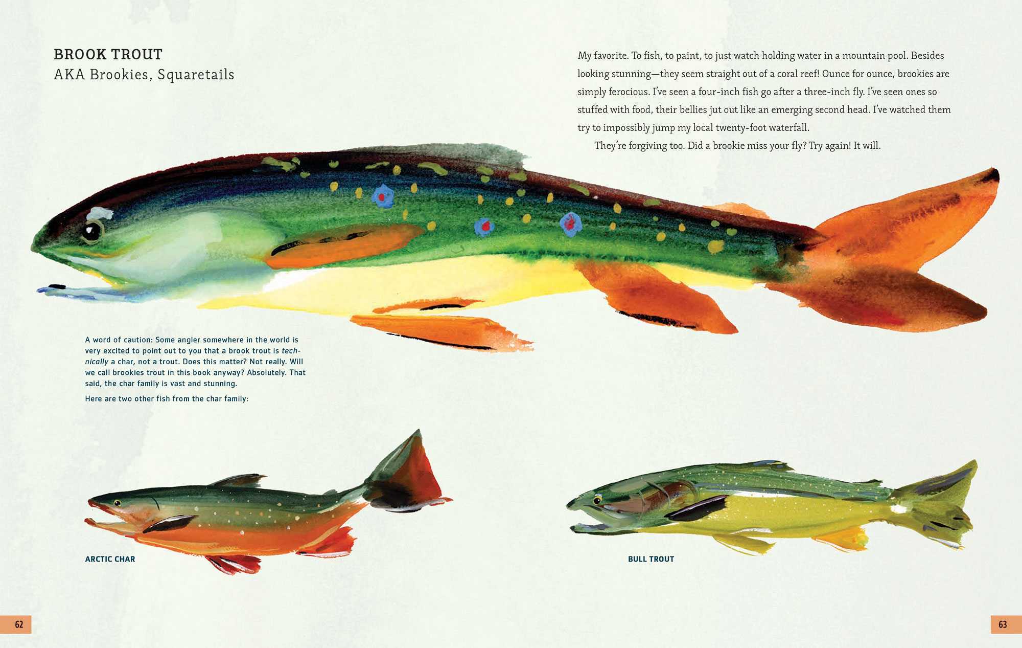 The Fly Fishing Book: An Artful Guide to Angling (Cover Reveal