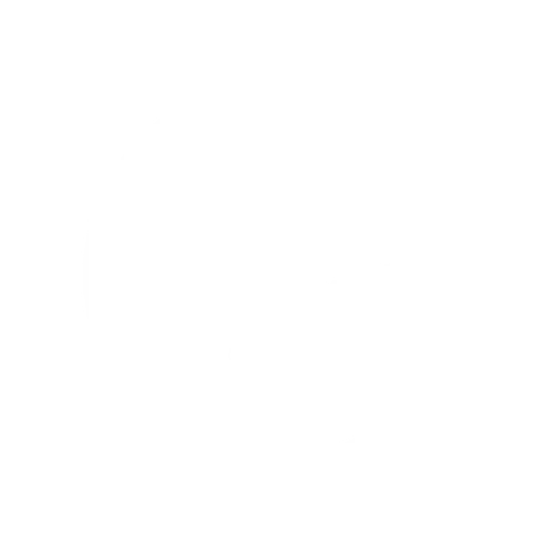 Plane Icon
