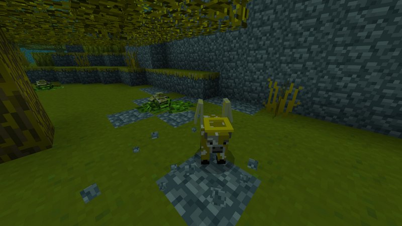 Jul 26, 2021 game version: Ether addon for Minecraft PE 1.17.2