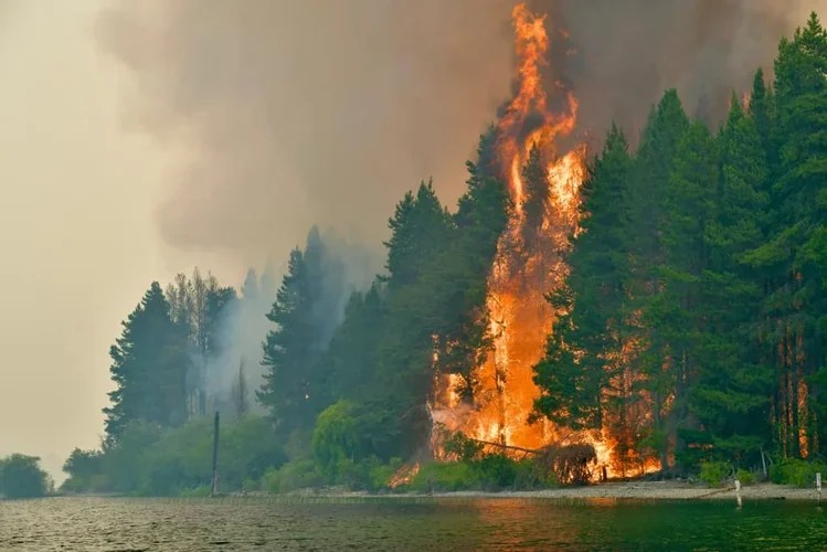 Incendios en la Patagonia