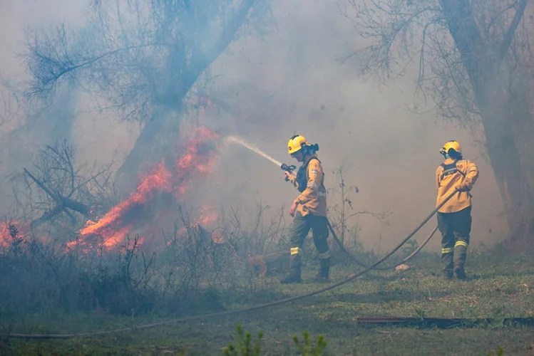Bomberos