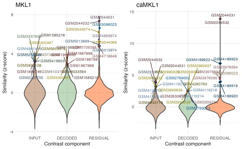 Violin Plot Flim Analyzer Documentation - Sunset Texture Collection - 4K Quality