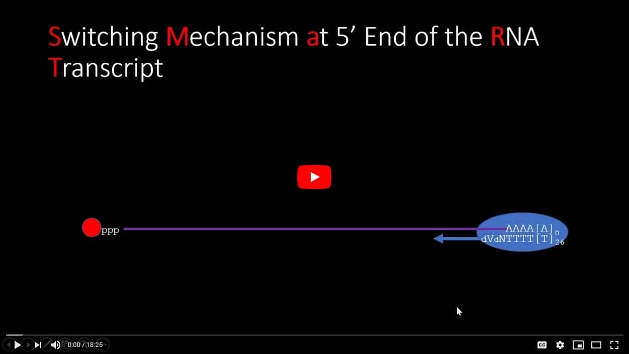 mantis - microfluidic liquid handler - formulatrix on magnolia car wash grenada ms