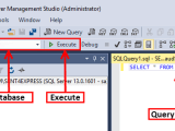 Execute A Query