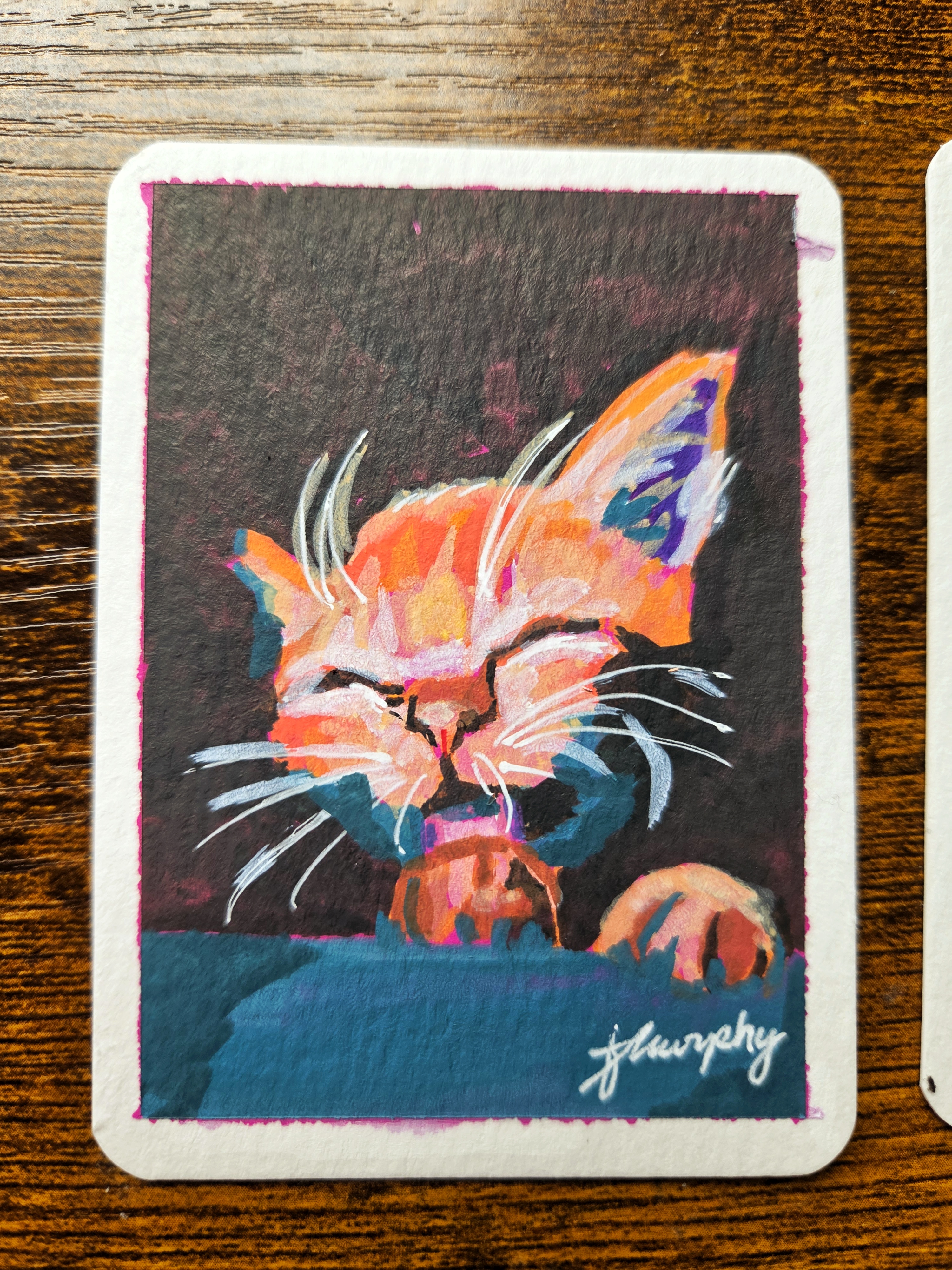 Cat Pocket Pet Portrait