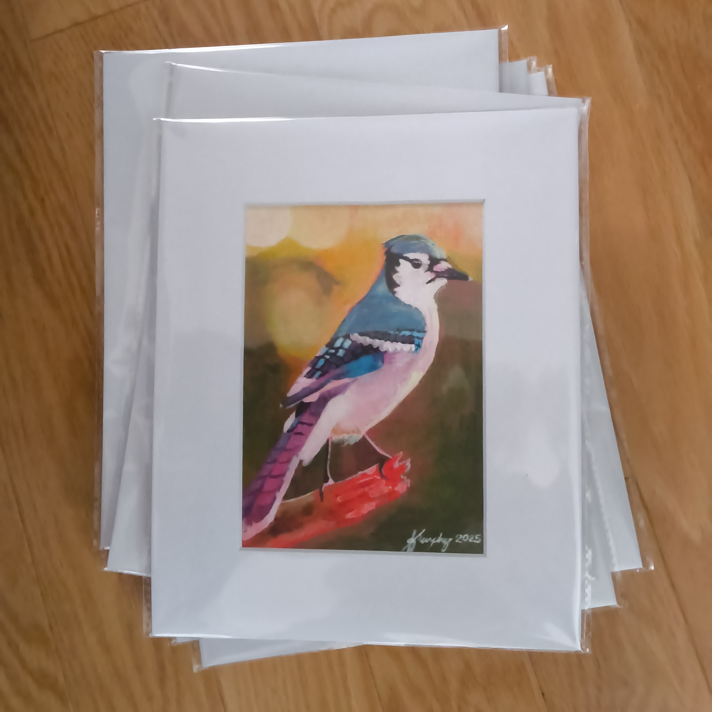 Birds Of Nova Scotia Prints