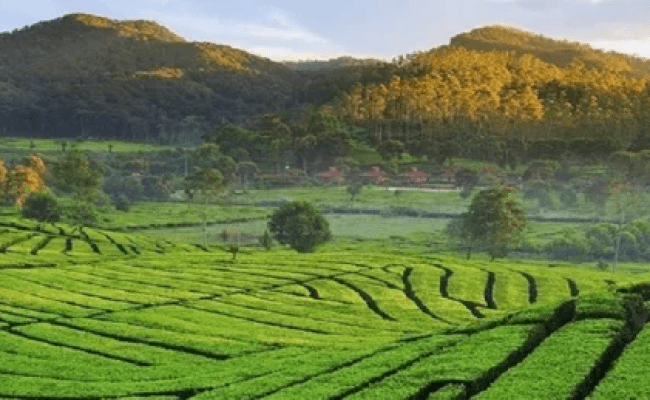 FnB Agritech : FnB Tech