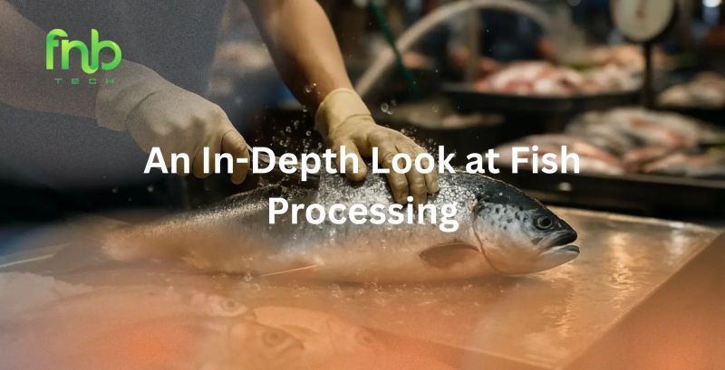 Fish Processing Ferr Tech - Premium Abstract Background Gallery - HD