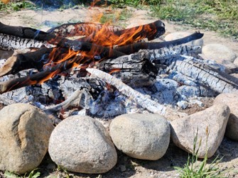 Picture8