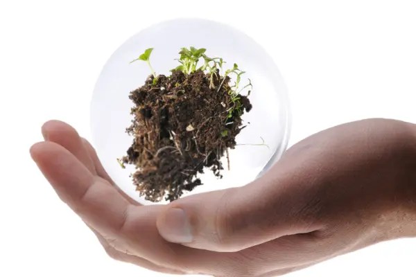 Esta imagem representa a ideia de proteção e sustentabilidade ao mostrar uma mão segurando um globo transparente com solo e brotos. Demonstra como a educação em seguros pode nutrir uma cultura de responsabilidade e preservar o futuro.