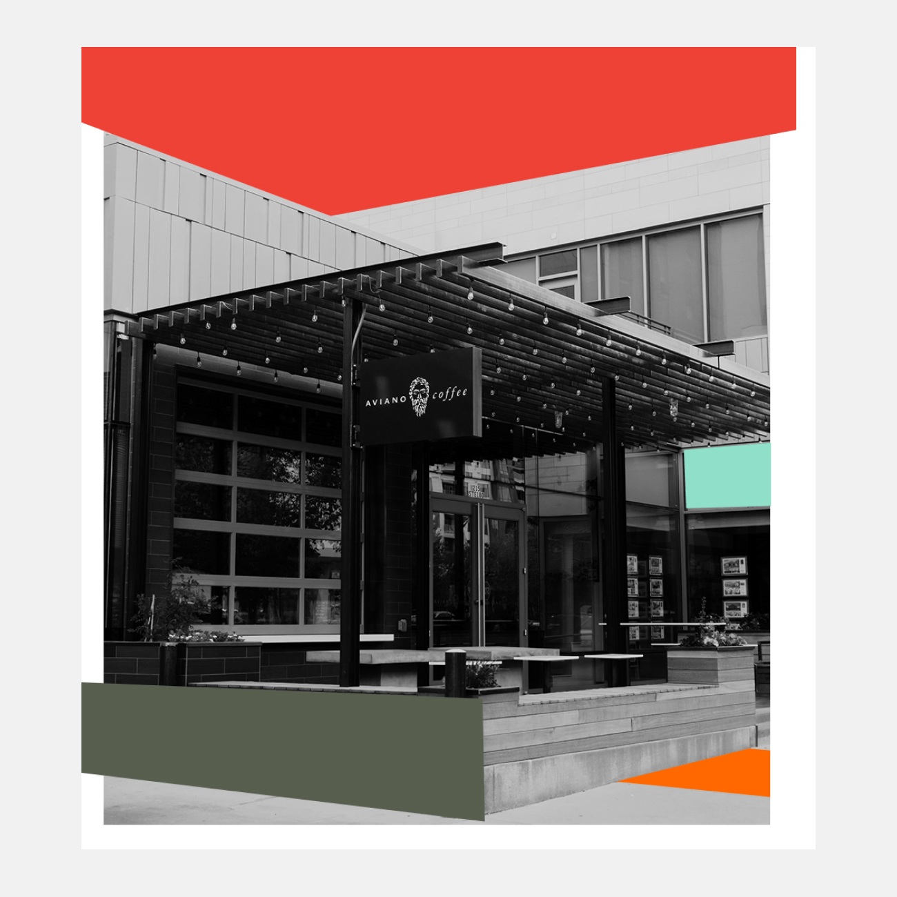 Focus Lab Locally - Colorful Design Collection - 8K Quality