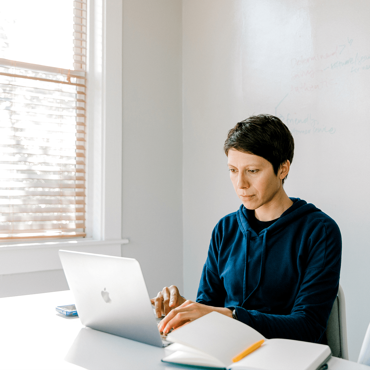 Focus Lab Patriot Software - Premium Light Photo Gallery - 8K