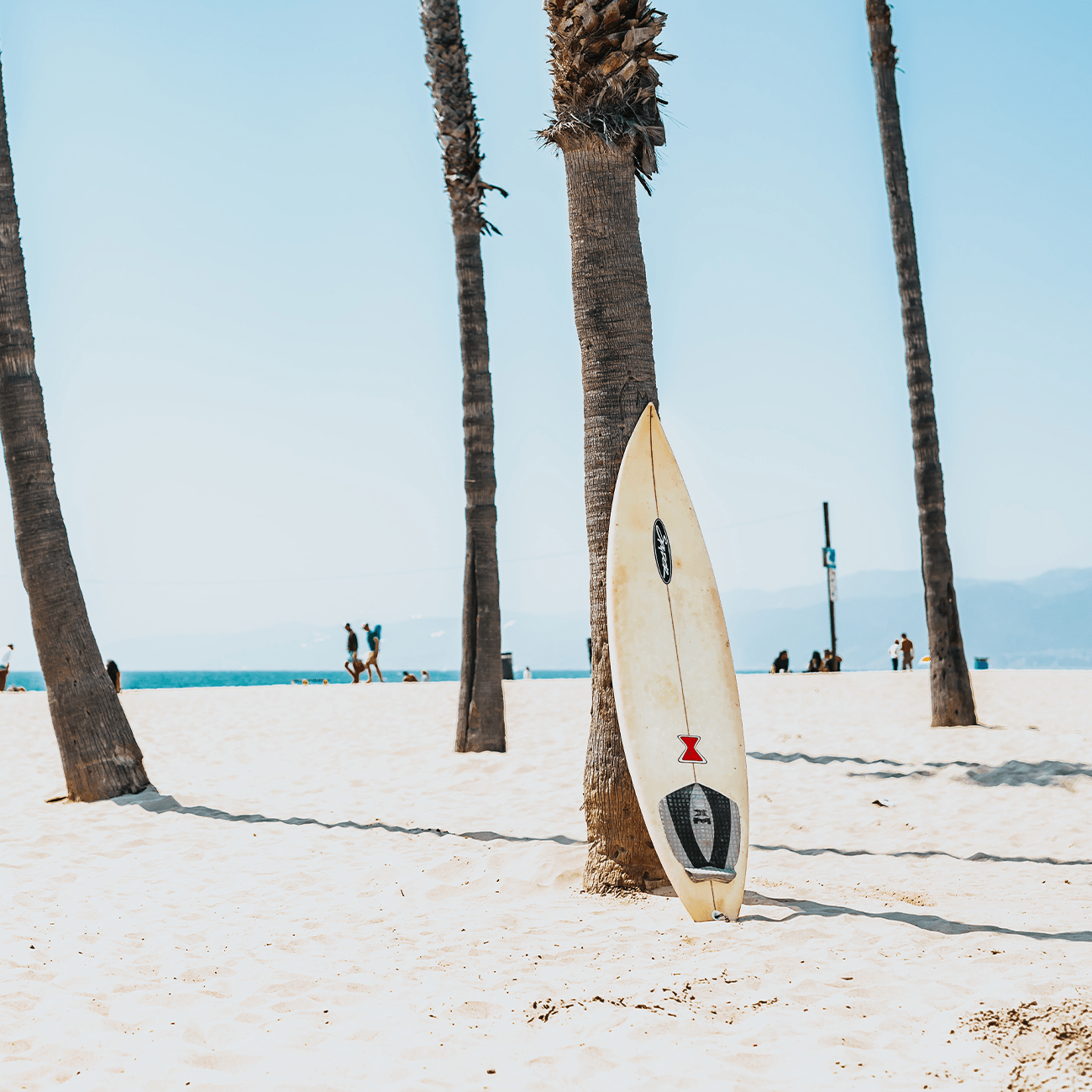 Focus Lab Surfe - Creative Retina City Textures | Free Download