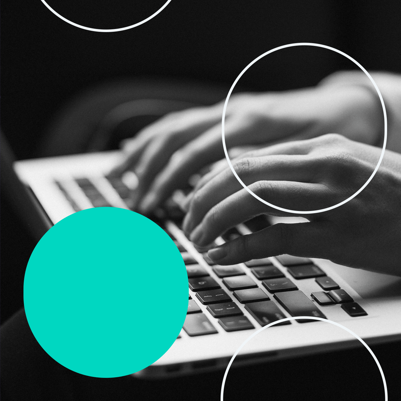 Focus Lab Zuora - Premium Landscape Design Gallery - Desktop