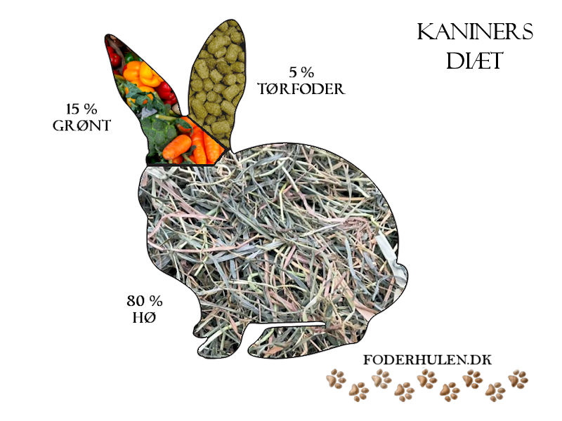 Gode produkter til din kanin - kaniners diæt - Foderhulen.dk